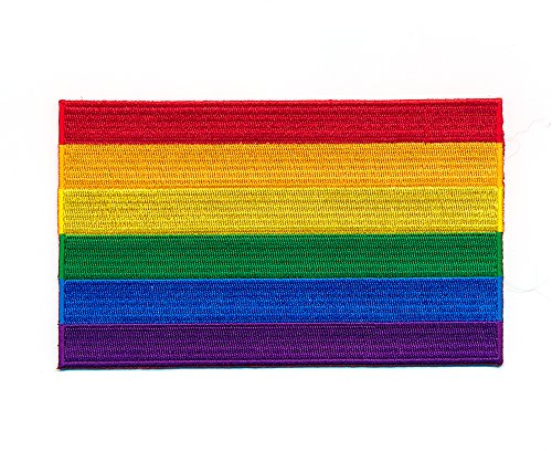 40 x 25 mm Regenbogen Flagge LGBT Pride Flag Patch Aufnäher Aufbügler 1035 A