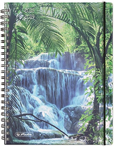 Herlitz 50017058 Schülerkalender MustHave Waterfall 2018/19, A5
