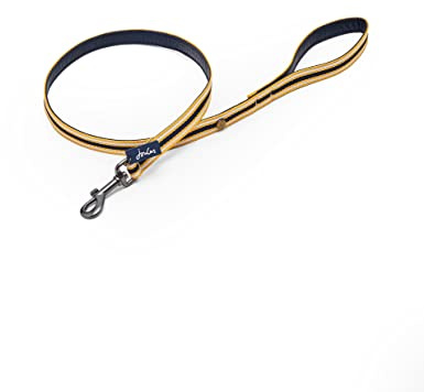 Rosewood Joules Yellow & Navy Coastal Dog Lead