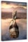 Hustling Sharks® Tierbilder Auf Leinwand Als XXL Wandbild Lion Reflection - Löwe Im Hochformat (30x40cm), Bilder Deko Wohnzimmer, Löwenbilder