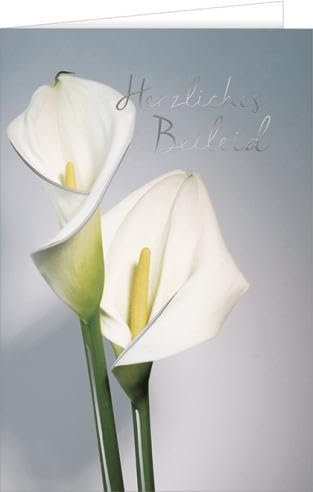 Hanra Grußkarte mit einer Calla Blume und einem Text, Trauer, Trauerkarte, 11,5x17 cm
