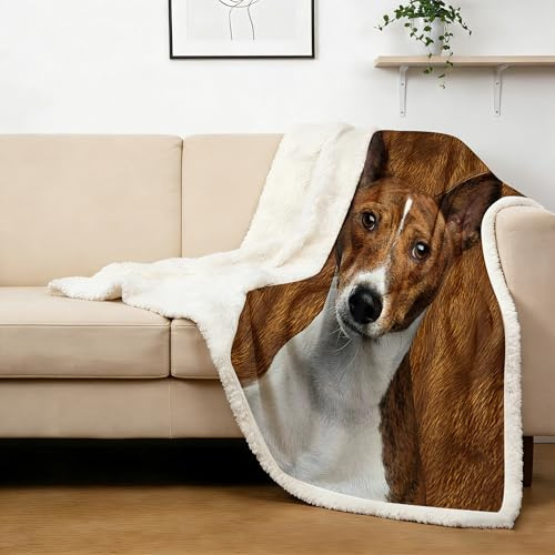 BlessLiving Basenji Throw Soft Blanket Sherpa Fleece Lined Blanket Pet and Dog Lovers Home Throw Blankets Twin/Double (150x200cm)