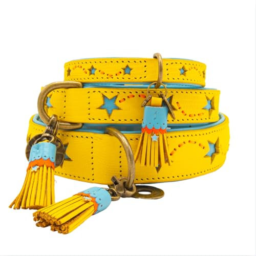 Dog with a Mission - Hundehalsband S | Farbenfroh Gelb, Blau mit Sternen | Boho, Ethno, Urban, Hippie | Mittelgroße Hunde | Handgemacht | Modisch und Bunt | Aus weichem Echtes Leder | 2,5 cm Breit