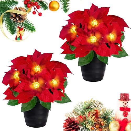 Sggvecsy Confezione da 2 stelle di Natale artificiali in velluto rosso, 30,5 cm, pianta di stella di Natale in vaso illuminata a LED, decorazione natalizia per casa, interni, esterni, giardino, regalo