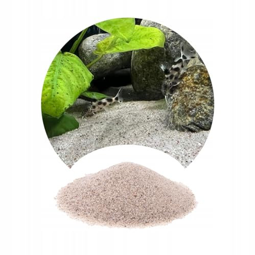 TD STONES Feiner Grauer Aquariensand – 0,5-1mm Körnung – Weicher Aquariensand für Süß- & Meerwasseraquarien, Schonend für Empfindliche Fische, Stabilisiert Ökosystem & Fördert Pflanzenwachstum – 8kg