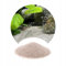 TD STONES Feiner Grauer Aquariensand – 0,5-1mm Körnung – Weicher Aquariensand für Süß- & Meerwasseraquarien, Schonend für Empfindliche Fische, Stabilisiert Ökosystem & Fördert Pflanzenwachstum – 8kg