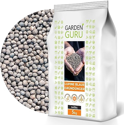 Lupine blau Samen Lupinus Gründüngung Düngelupinen Dünge-Lupine 5kg schnelles Wachstum, Bodenverbesserung, Tierfutter, Honigpflanze, hochwertige Samen Süßlupine