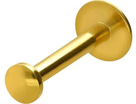 PIERCINGLINE Titan Labret Stecker Gewinde Flat DISC Piercing Lippe Nase Ohr Goldfarben 6 x 4 mm