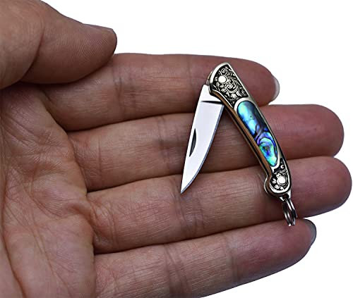 JPCRMOV Coltellino Tascabile, Piccolo Coltello Pieghevole, Mini Coltello Portachiavi (Conchiglia di Abalone)