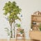 SUPERDANT Birke Baum Wandaufkleber Vögel Gefallene Blätter Wandaufkleber Abziehen Und Aufkleben Vinyl Wandkunst Aufkleber TV Wanddekoration Für Baby Kinderzimmer Kinder Spielzimmer Schlafzimmer