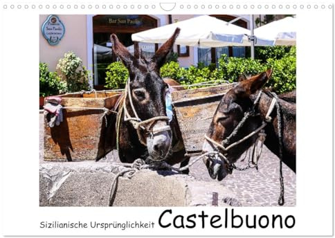 Sizilianische Ursprünglichkeit Castelbuono (Wandkalender 2026 DIN A3 quer), CALVENDO Monatskalender: Idylle im sizilianischen Dorf Castelbuono (CALVENDO Orte)