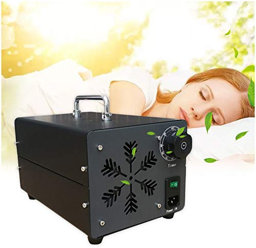ZSLGOGO 10000mg/H Generador de ozono Profesional Temporizador Ajustable generador de ozono purificador de Aire Eliminador de olores Industrial para Habitaciones Humo Coches Mascotas