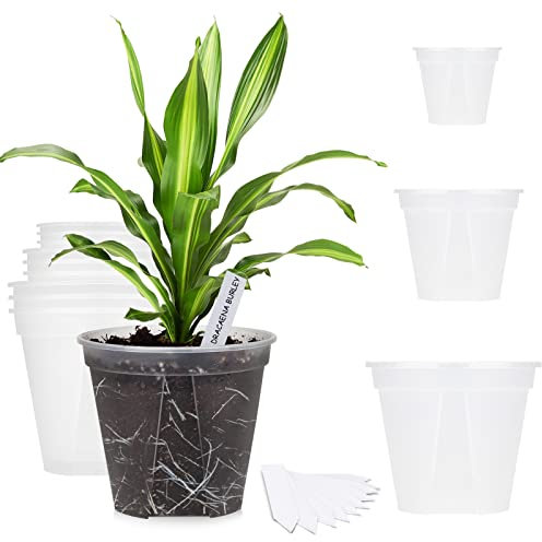 GREENPARA Transparent Plastic Planter 4/5 /6 inch Plant Nursery Pots with Drainage Hole Indoor Modern Decorative Containers for Plants, Herb, Flowers, and Cactus with 10pcs Plant Labels, 12pcs