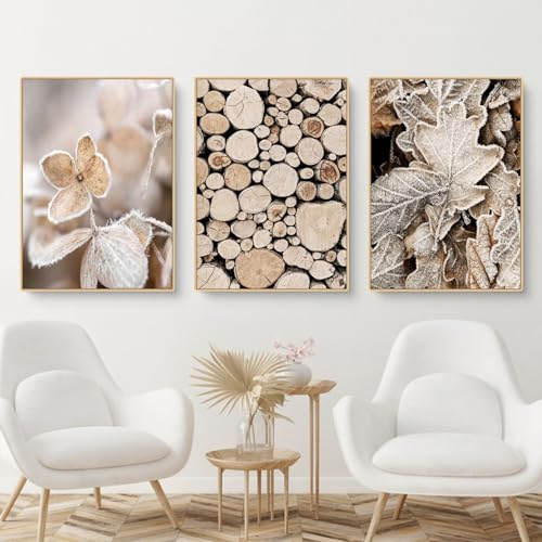 CULASIGN Premium 3er Poster Set - OHNE Rahmen, Modern Wandbilder, Winter Bilder Holz Schnee Pflanze Eichhörnchen, Wanddeko für Schlafzimmer Wohnzimmer (DEF,40x50cm)