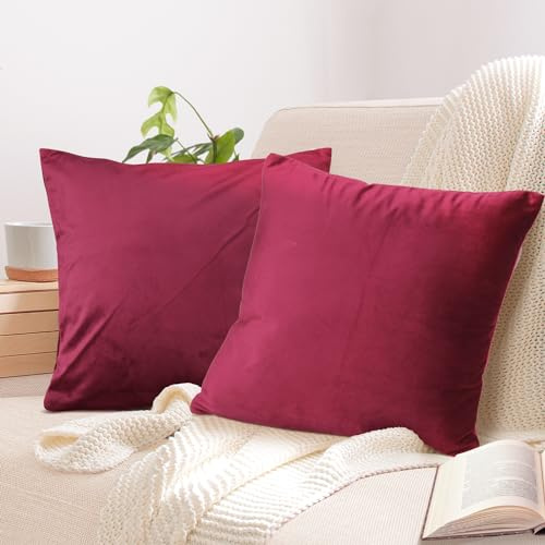 Cozyor 2er Set Kissenbezug 40x40 cm rot Samt flauschig weich Sofakissen Dekokissenbezug Kissenhülle für Couch, Schlafzimmer, Wohnzimmer & Balkon, Bordeaux Berry, mit verstecktem Reißverschluss