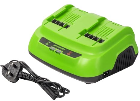 Greenworks 24V 8A 200W Dual port Rapid Charger, Adapt for All Grenworks 24V Batterise, 3 Year Warranty, G24X2C8/C2020BE
