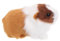 CHICAMPERA Simuliertes Hamstermodell für Kinder Realistische Hamsterfigur aus Kunstfell Pädagogisches Spielzeug für Kinderzimmer Lebensechte Dekofigur für Partys und Ausstellungen