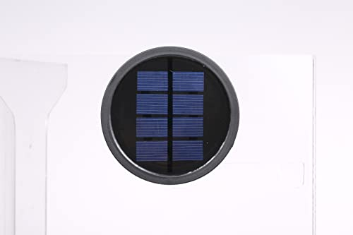 Panneau solaire pour lanterne solaire Bonsery (7 lm)