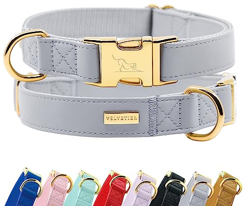 Halsband Hund von VELVETIER® | Stilvolles Hundehalsband aus Microfaser-Leder für kleine & große Hunde | Außen robust, innen weich | Hunde Halsbänder - S/M: 29-41cm, Manhattan (Grau)