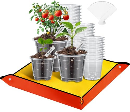 Mactoou 30 Pezzi Vasetti per Piantine con Tappetino per Piante, 8.9cm 10.2cm 12.7cm Vaso Trasparente per Orchidee con Fori Drenaggio, Vasi in Plastica per Interni, Esterni, Giardino, Balcone, ecc
