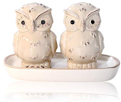 Lustige Salz- und Pfefferstreuer aus Porzellan - Freche Salzstreuer Gewürzspender - Einweihungsgeschenk Hochzeitsgeschenk Geburtstagsgeschenk für Pärchen Paare (Uhu Grau)