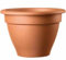 Pots en terre cuite, diamètre 9 cm, hauteur 5 cm (6 pièces) - fleur en pot fabriqué en Italie