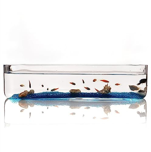 Aquarium Fish Tank Petit Verre Rectangulaire Aquarium Réservoir Écologique Transparent Salon Bureau Décoration(Petit)