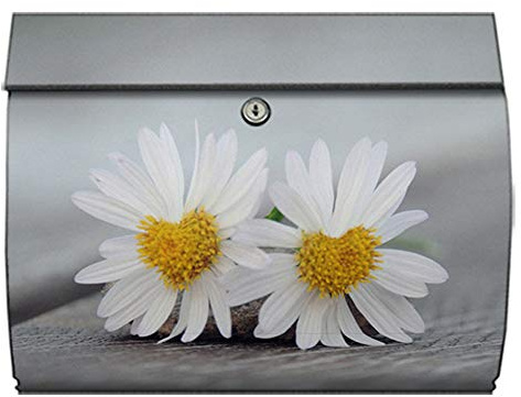 motivX-Ideenwerkstatt Briefkasten Swing Wandbriefkasten mit Motiv Verliebte Gänseblümchen