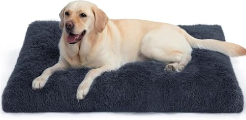 DONWEI Hundebett Flauschig 75X50X8Cm Dunkelgrau Mittelhunde | Weiches Langplüschkissen Mit Rutschboden, Abnehmbarer Waschbezug Entlastet Mittelgroße Hundegelenke