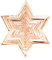 Oblique Unique® Weihnachtsstern 3D Stern Anhänger aus Metall mit Spiegeleffekt glänzend Hängedeko für Weihnachten Weihnachtsdeko Christbaumschmuck Weihnachtsbaum Deko (Roségold)