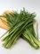 1000 Samen Schnittknoblauch Allium tuberosum Knobi Schnittlauch Knoblauch Kräuter