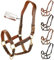 Esposita anatomisches Lederhalfter Deluxe Halfter aus Leder für Pferde Stallhalfter Pferdehalfter - Fettleder Braun Pony