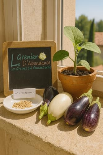 Lot de 170 graines à semer - Le Grenier d'Abondance - Fan d'Aubergines - 4 variétés