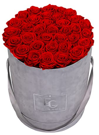 EMMIE GRAY CLASSIC INFINITY ROSENBOX | VELVET GRAY | Runde Flowerbox - Infinity Rosen in grauer Samtbox - 1-3 Jahre Haltbarkeit - Echte Rosen, die jahrelang blühen - Haltbare Rosen (L, Vibrant Red)