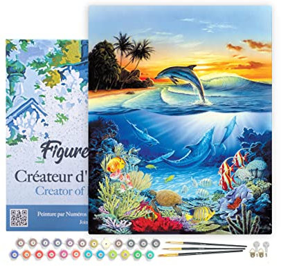 Figured'Art Peinture par Numéro Adulte avec Cadre Dauphins dans le lagon - Activité Manuelle Kit de Loisir Créatif DIY Numéro d'Art Complet - 40x50cm toile tendue sur châssis