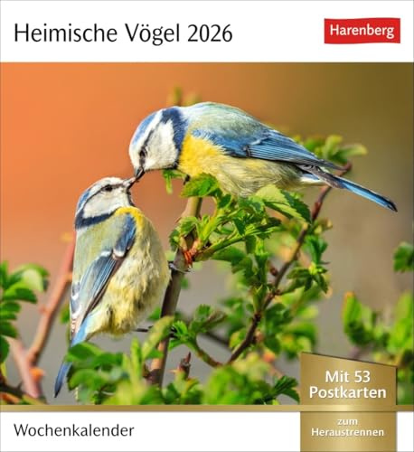 Postkartenkalender Heimische Vögel - Kalender 2026 - Harenberg-Verlag - Wochenkalender mit 53 heraustrennbaren Postkarten - 16 cm x 17,5 cm