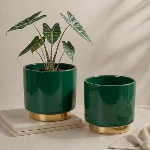 matches21 HOME & HOBBY Übertöpfe in Ø 13 cm, Dunkelgrüne Blumentöpfe im 2er Set - Blumenübertöpfe aus Keramik für Innen