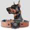Halsband Hund Leder mit Air Tag Halter, Airtag Hundehalsband IPX8 Wasserdicht, Handgefertigt, Weich und Bequem, Reflektierend, Verstellbare Polsterung, Geeignet für Mittlere Große Hunde (Braun, L)