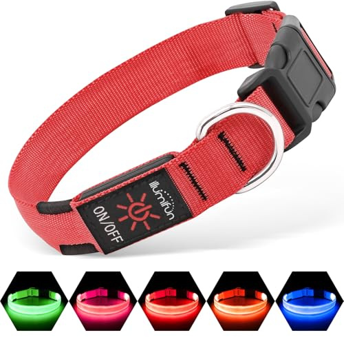 Illumifun LED Dog Collar, USB Rechargeable Light Up Dog Collar Glow in the Dark, Pet Safety Collar Lights for Night Walking Camping (Red, Large)