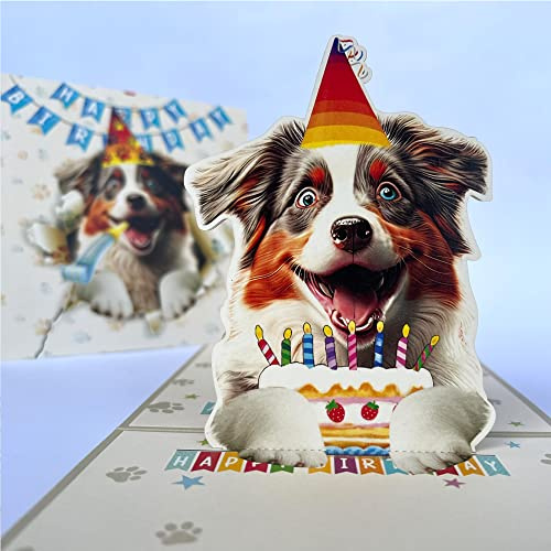 Momapopup 3D-Pop-Up-Karte mit australischem Schäferhund, niedlicher Hund mit Kuchenfeier, skurriler Happy Birthday-Gruß für Hundeliebhaber, 3D-Geburtstagskarte mit australischem Schäferhund,