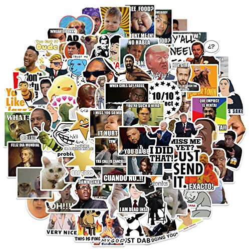 100 Stück lustige Meme-Aufkleber für Kinder, Teenager, Erwachsene, Jungen, Mädchen, Geschenk, Aufkleber, Set für Laptop, Skateboard, Gepäck, Auto, Fahrrad, Computer, Vinyl, wasserdichter Aufkleber