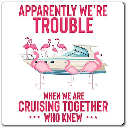 Lustig Apparently We're Cruising Freizeit-Enthusiast Humorvolle Flamingos Yacht Entspannung Leichtigkeit Liebhaber Magnete 10,2 x 10,2 cm