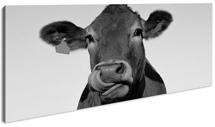 Leinwandbild Lustige Kuh – Charme auf der Weide Panorama Format: 120x60 cm Effekt: Schwarz&Weiß XXL Kunstdruck Bild auf Keilrahmen/Wandbild/Wohnzimmer Deko