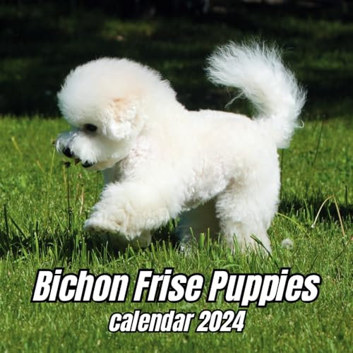 Bichon Frise Puppies Calendar 2024: 14 Months Organizer For Home & Office , Mens , Womens , kids
