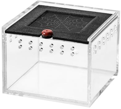 Correa Spider Enclosure Small Insect Breeding Box Prevent Escape Reptile Terrarium Insect Feeding Cage C