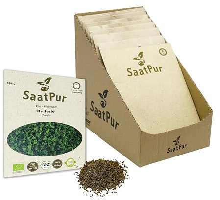 Sellerie BIO Keimsprossen von SaatPur - Keimsaat für Sprossen, Microgreens - Kleines Tray mit 30 Portionstüten je 15g