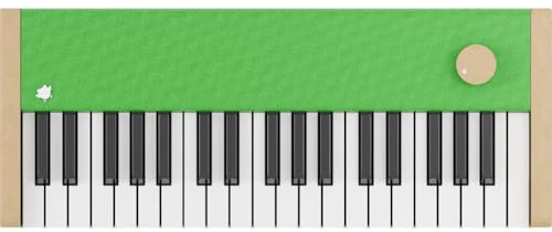 Loog Digital Piano - Portable Keyboard for Beginners with Musician Grade Sound, MIDI Over USB-C Rechargeable Musical Educational Instrument (Loog x Duolingo piano)