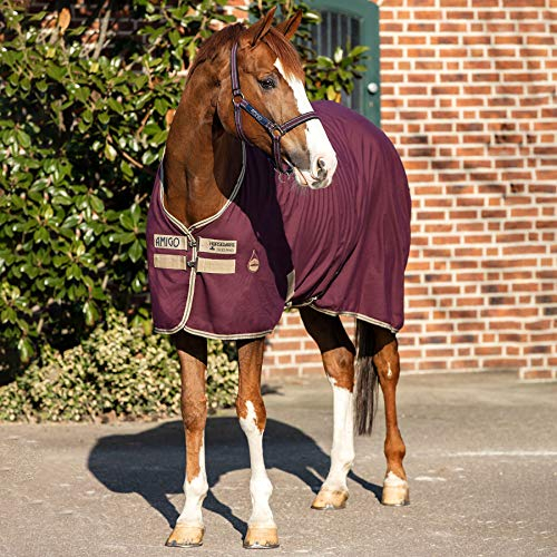 AMIGO Stable Sheet 6ft6 Fig Navy Tan