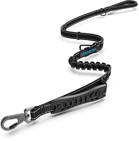 IOKHEIRA Hundeleine, 1.2m bis 1.5m verstellbare Nylon-Klassik-Hundeleine mit Puffer-Bungee-System, Autosicherheitsgurt und kurzer Trainingsleine