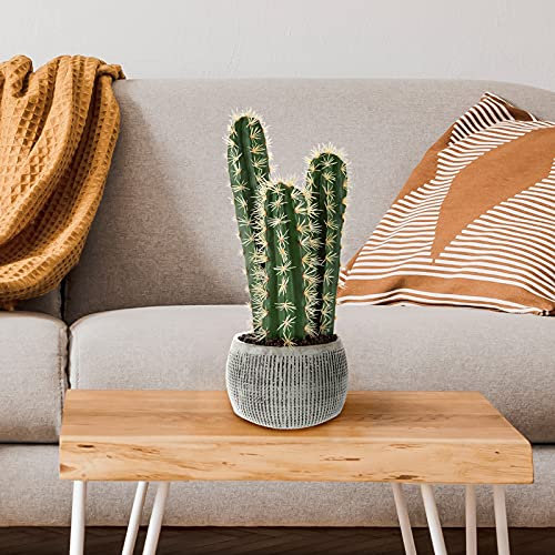 Faux Potted Cactus Plant Â– 22-inch Artificial Hedge Cacti Succulent in a Clay Fiber Pot with Realistic Spiky Accents for Home or Office by Pure Garden